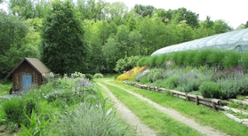 Erbaio della Gorra - Tre Giorni per il Giardino © FAI Erbaio della Gorra - Tre Giorni per il Giardino © FAI