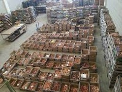 Flora import Olanda - Tre Giorni per il Giardino © FAI - Tre Giorni per il Giardino © FAI Flora import Olanda - Tre Giorni per il Giardino © FAI - Tre Giorni per il Giardino © FAI