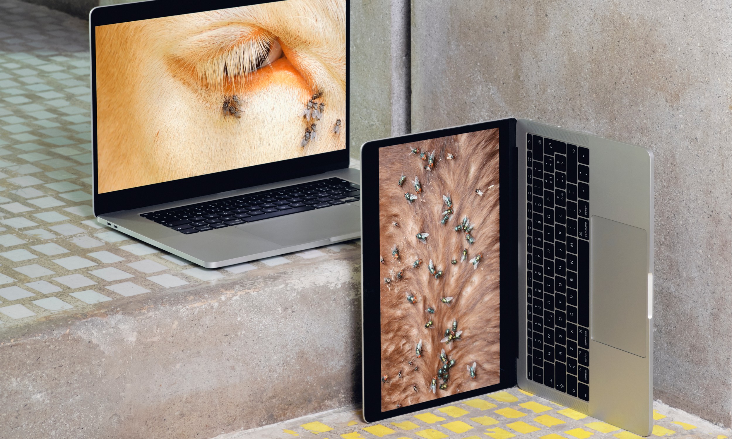 Formafantasma. The Shape of Things to Come