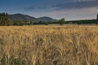 parco sorgenti fertrarelle di riardo, aziende