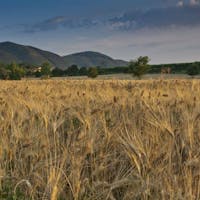 Parco Sorgenti Ferrarelle di Riardo | © Ferrarelle parco sorgenti fertrarelle di riardo, aziende
