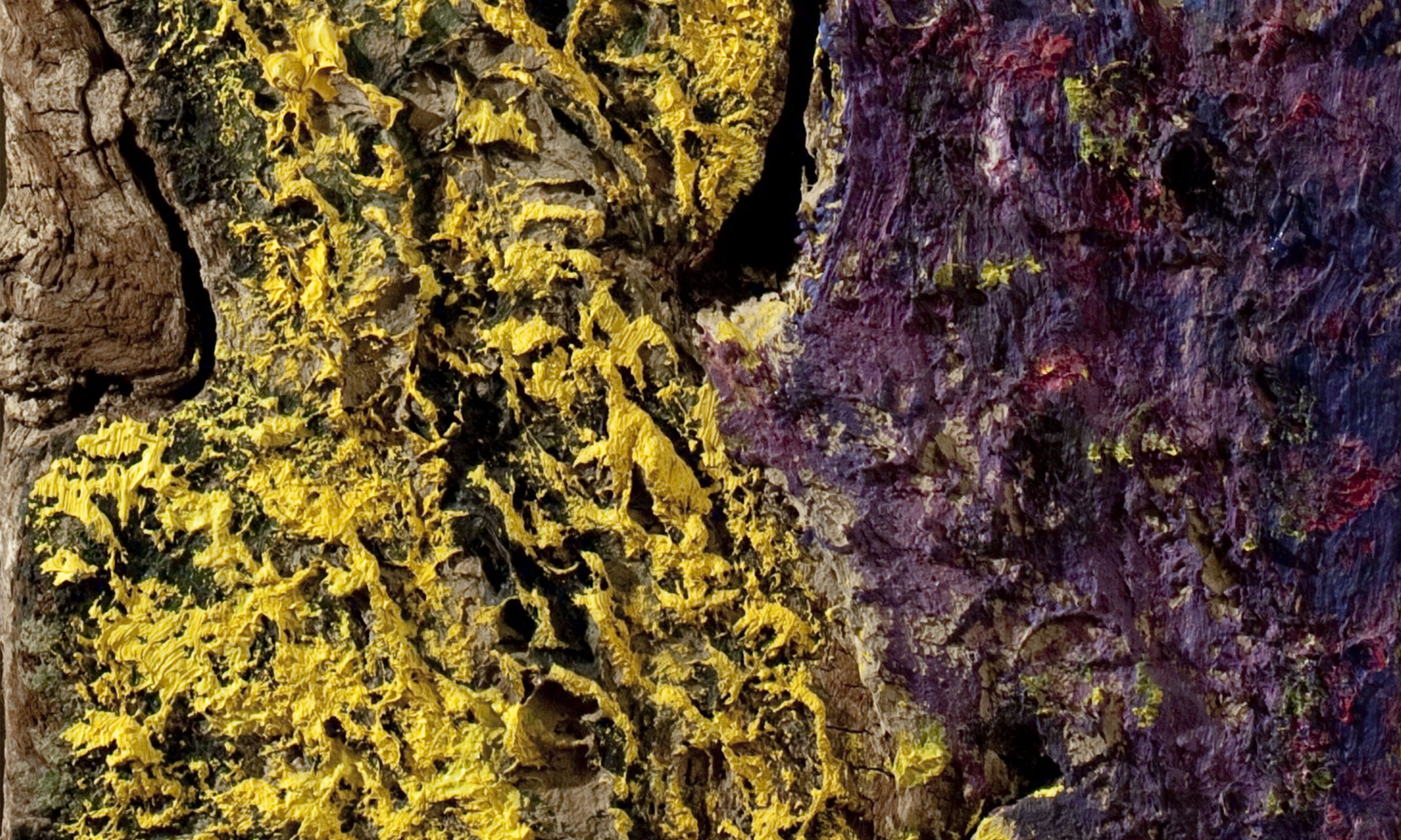 Carlo Mattioli. Textures  al Negozio Olivetti