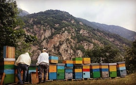 Apicultura Le Querce - Tre Giorni per il Giardino © FAI 