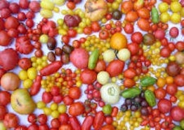 Michael Schick - Tre Giorni per il Giardino © FAI