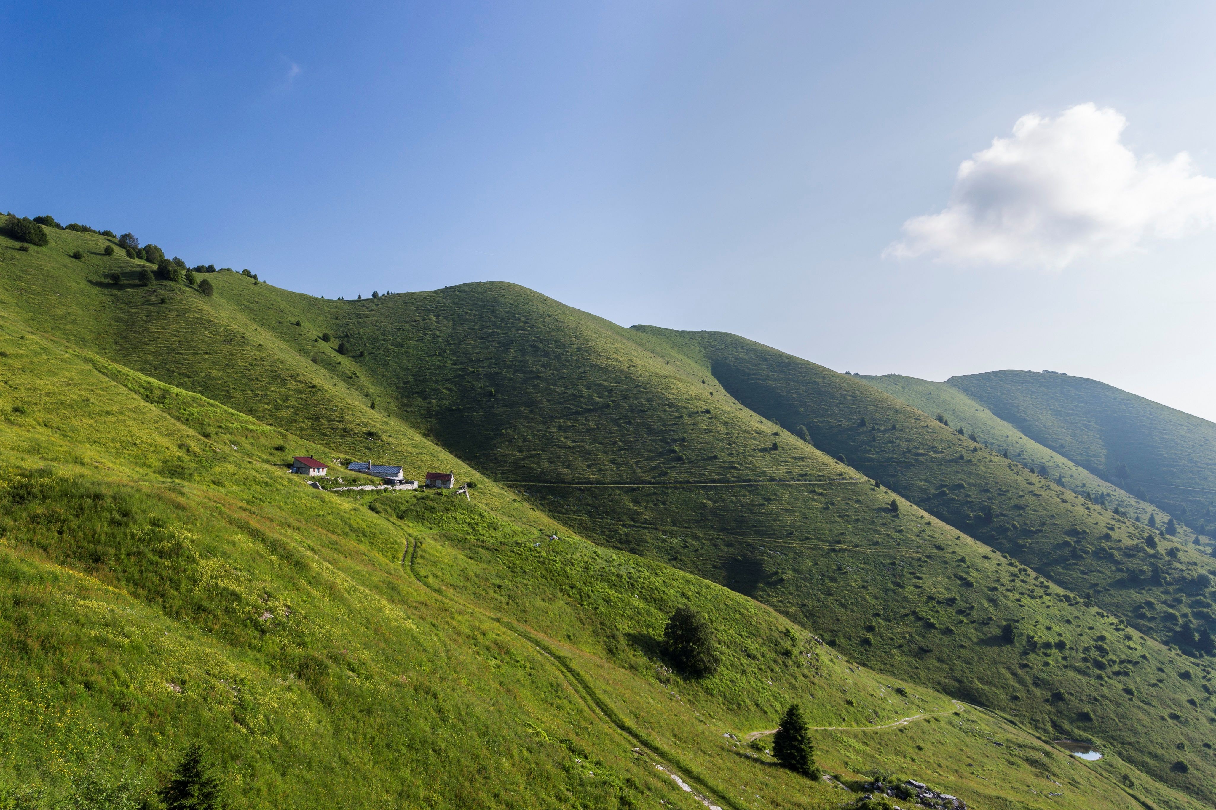 Grazie a chi sostiene Monte Fontana Secca