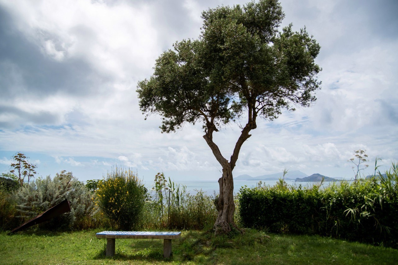 Giardini segreti 2024