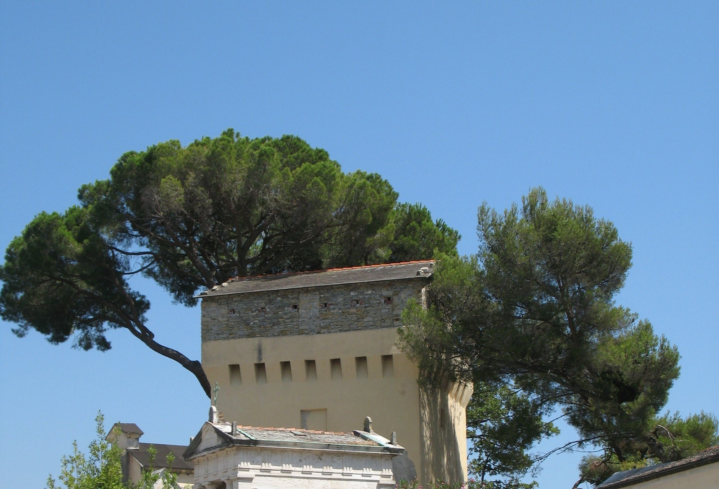 Promontorio e Torre di Punta Pagana, Rapallo