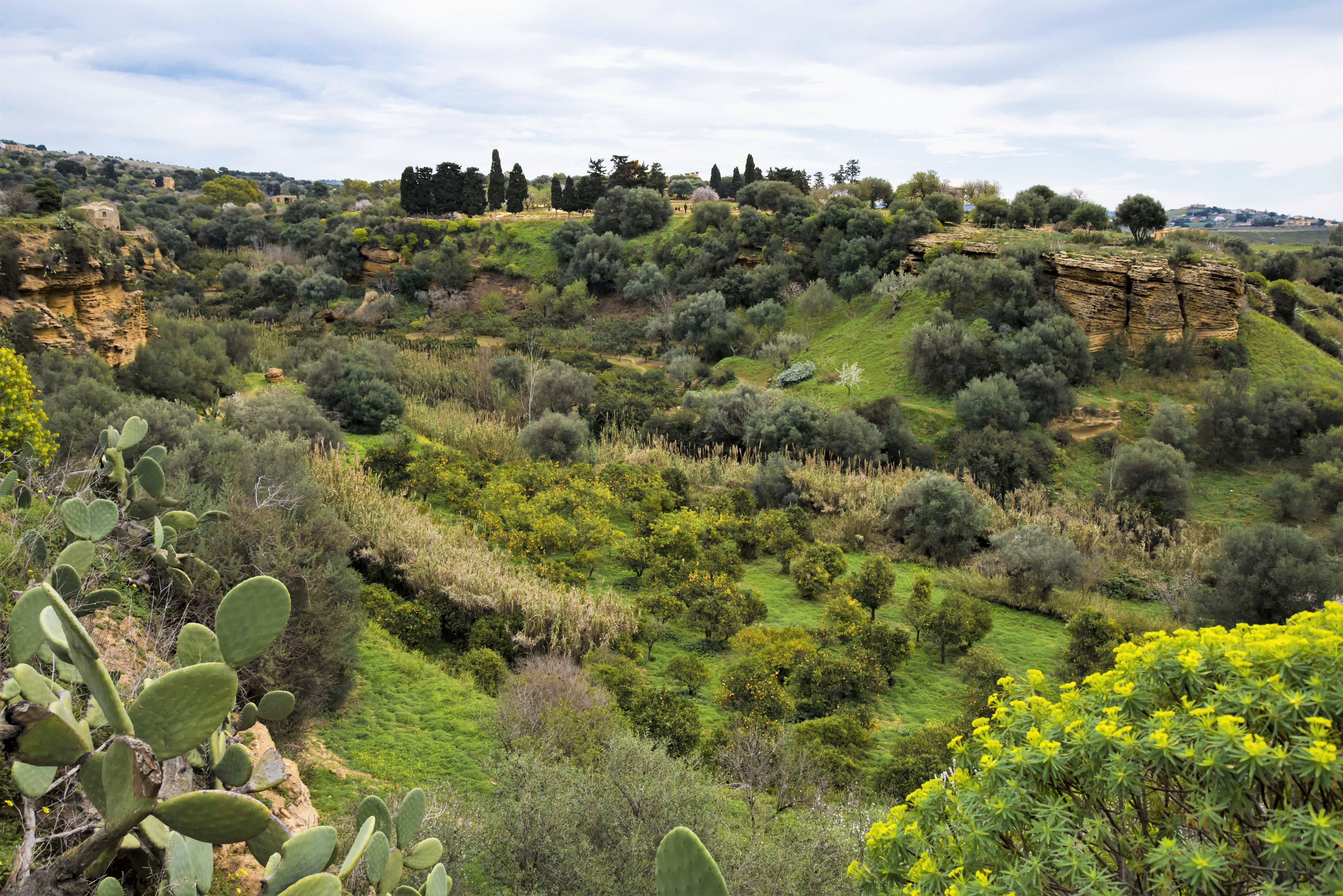 Panoramica del Giardino della Kolymbethra