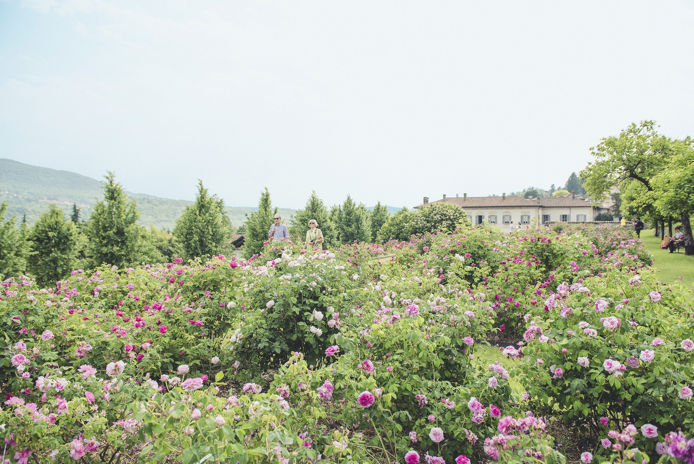 Foto di Davide Poerio © FAI