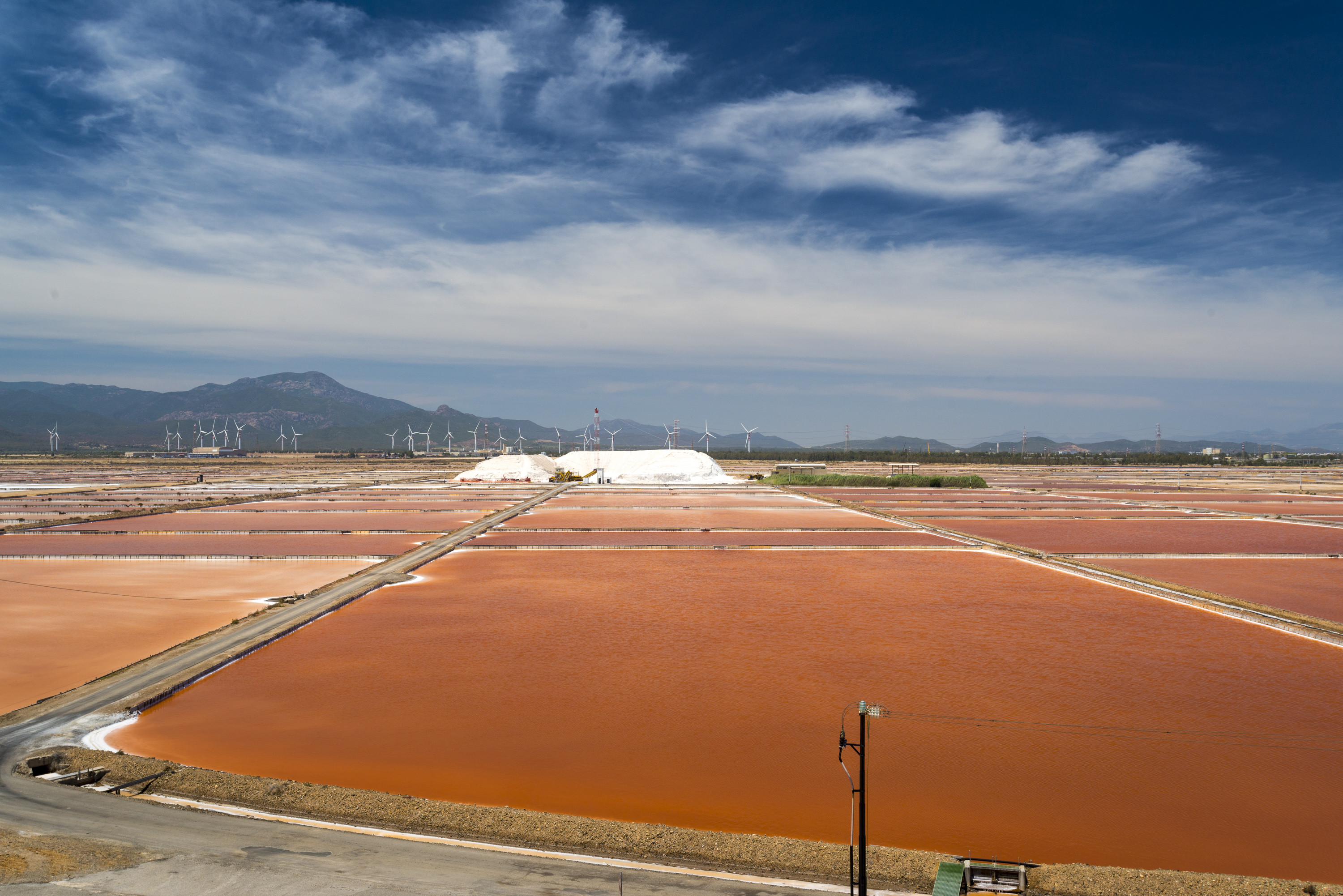 FAI Summer Camp alle Saline Conti Vecchi