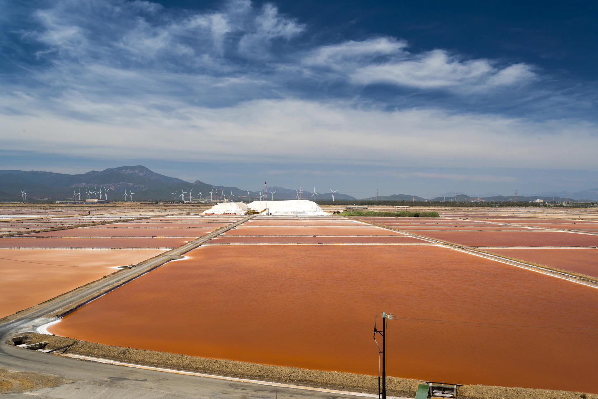 Scopri Il FAI Summer Camp Alle Saline Conti Vecchi