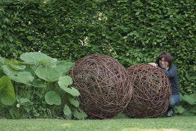 Salix - Tre giorni per il giardino © FAI