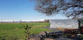 Azienda Agricola I fiori della Barisella - Tre Giorni per il Giardino © FAI 