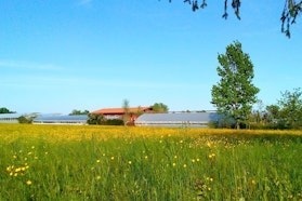 Vivai Verbene - Tre Giorni per il Giardino © FAI 