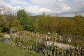 Vivai Giani - Tre Giorni per il Giardino FAI