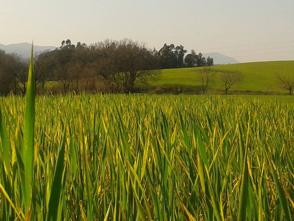 Ferrarelle per il FAI