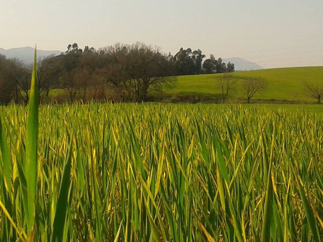 Ferrarelle per il FAI Ferrarelle per il FAI