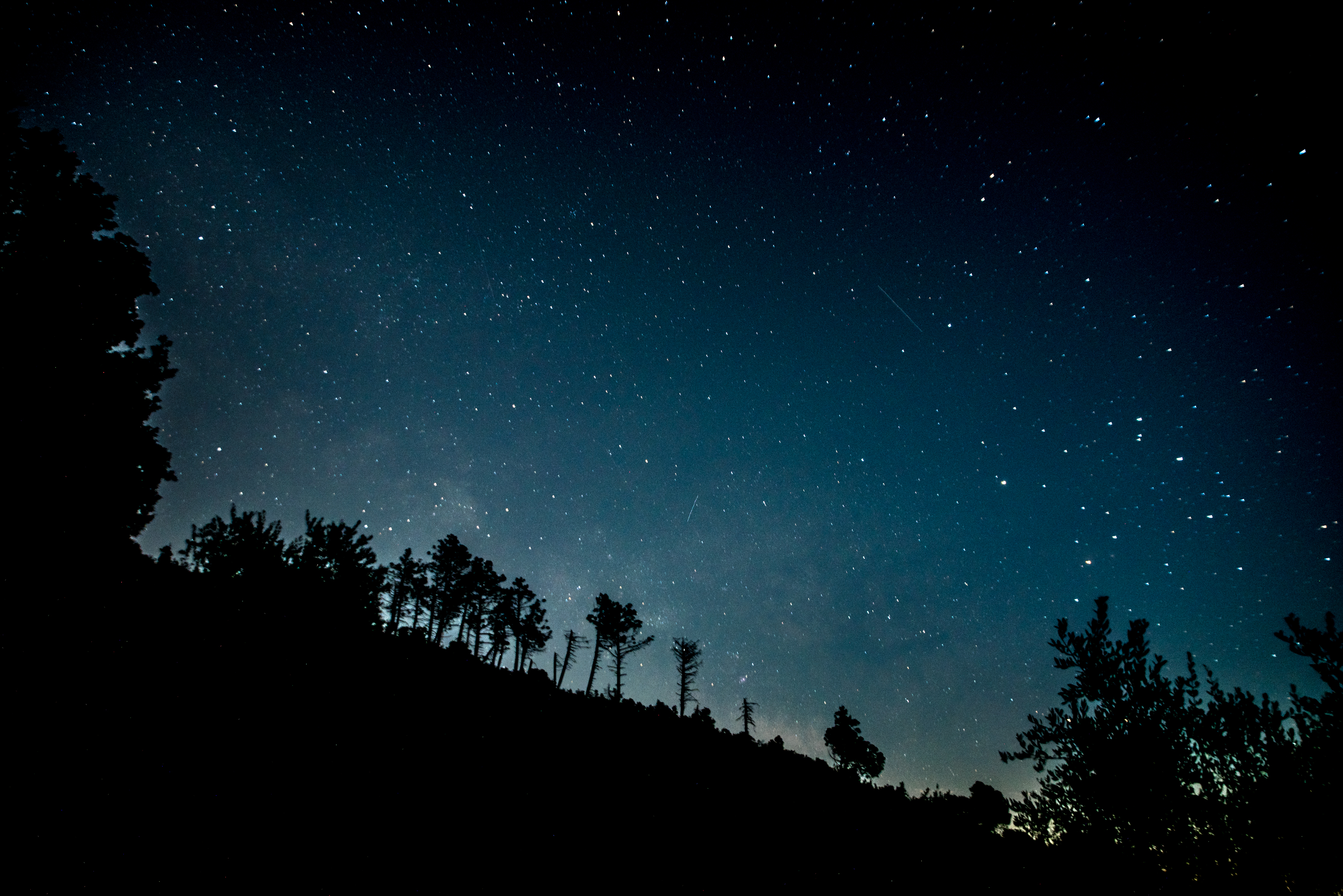 A Natale fai un regalo all'Italia!