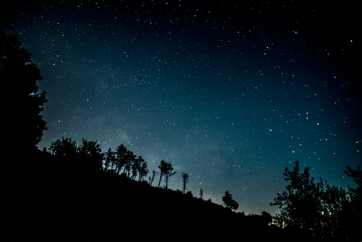 A Natale fai un regalo all'Italia! A Natale fai un regalo all'Italia!