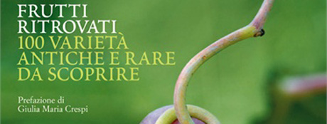L'Archeologia Arborea diventa Fondazione