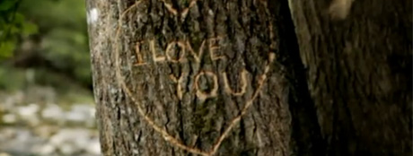 Campagna FAI: guarda lo spot video!