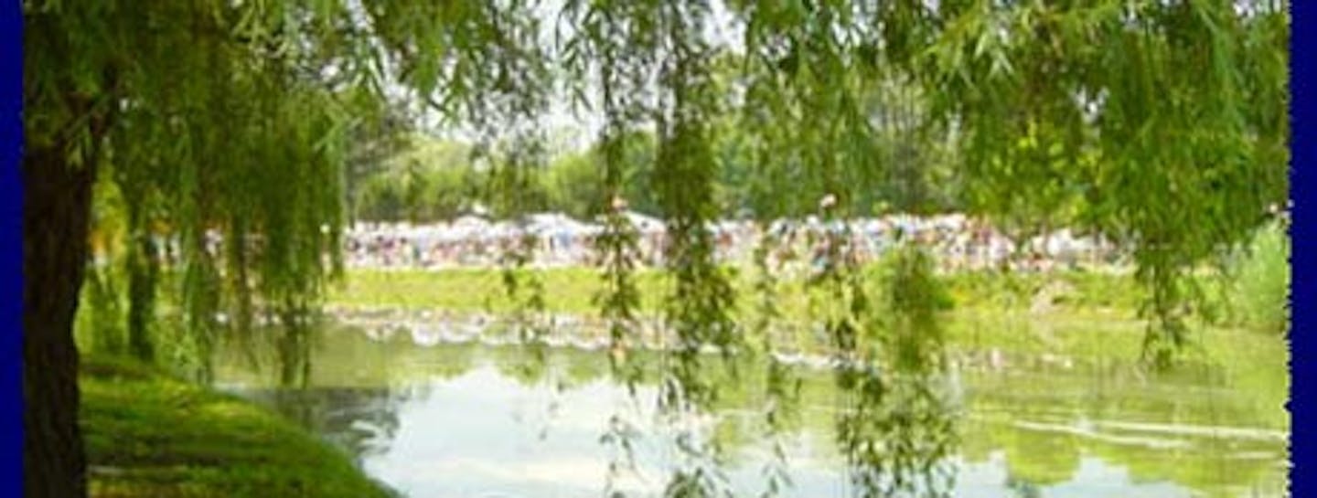 Terza pista a Malpensa, e il Ticino? Terza pista a Malpensa, e il Ticino?