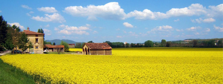 Chiacchierando di agricoltura… a Milano