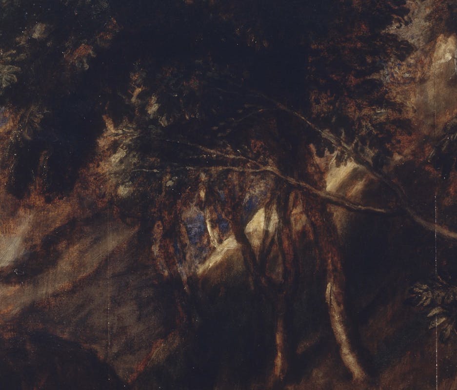 Le vite di Tiziano. Alchimie cromatiche Le vite di Tiziano. Alchimie cromatiche