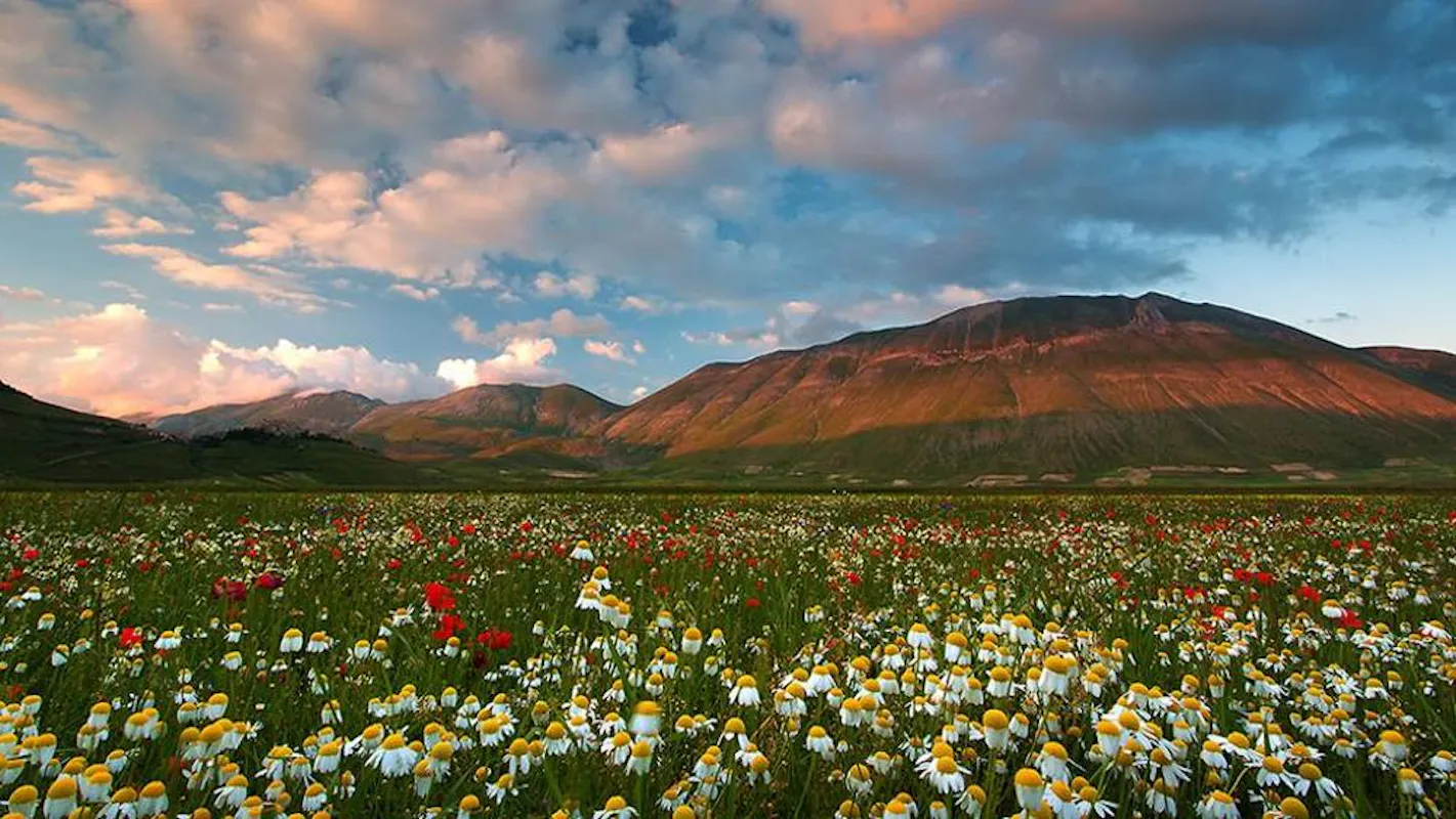 A fianco dei Monti Sibillini A fianco dei Monti Sibillini