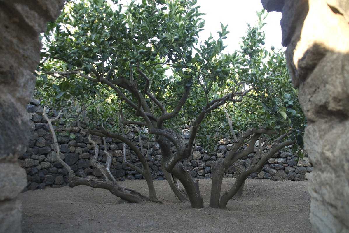 Muretti a secco: da sempre nel cuore del FAI, da oggi patrimonio Unesco Muretti a secco: da sempre nel cuore del FAI, da oggi patrimonio Unesco