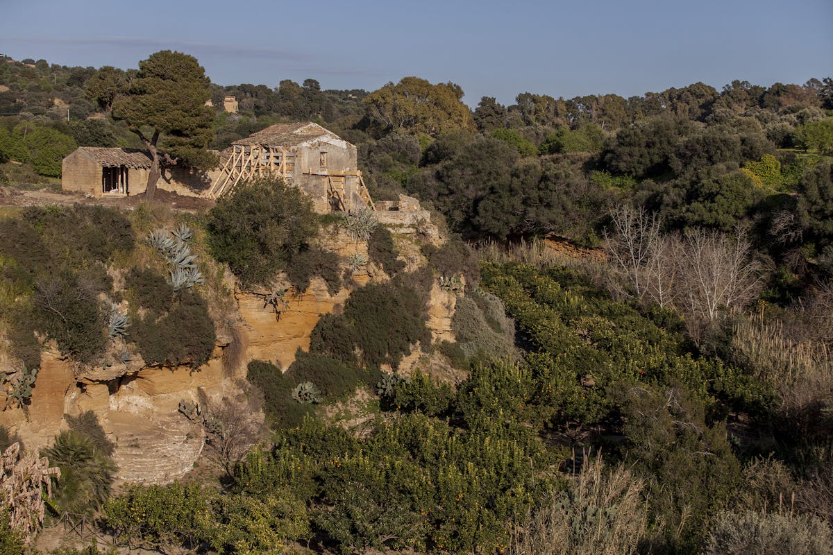 La vita contadina tra i templi di Agrigento La vita contadina tra i templi di Agrigento