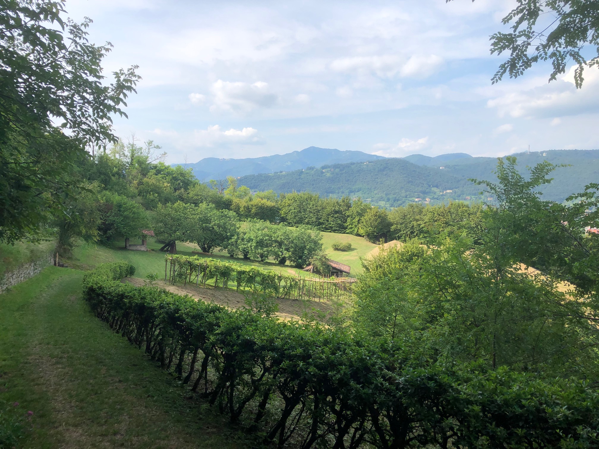 Why not? La campagna 2020 per il turismo di prossimità