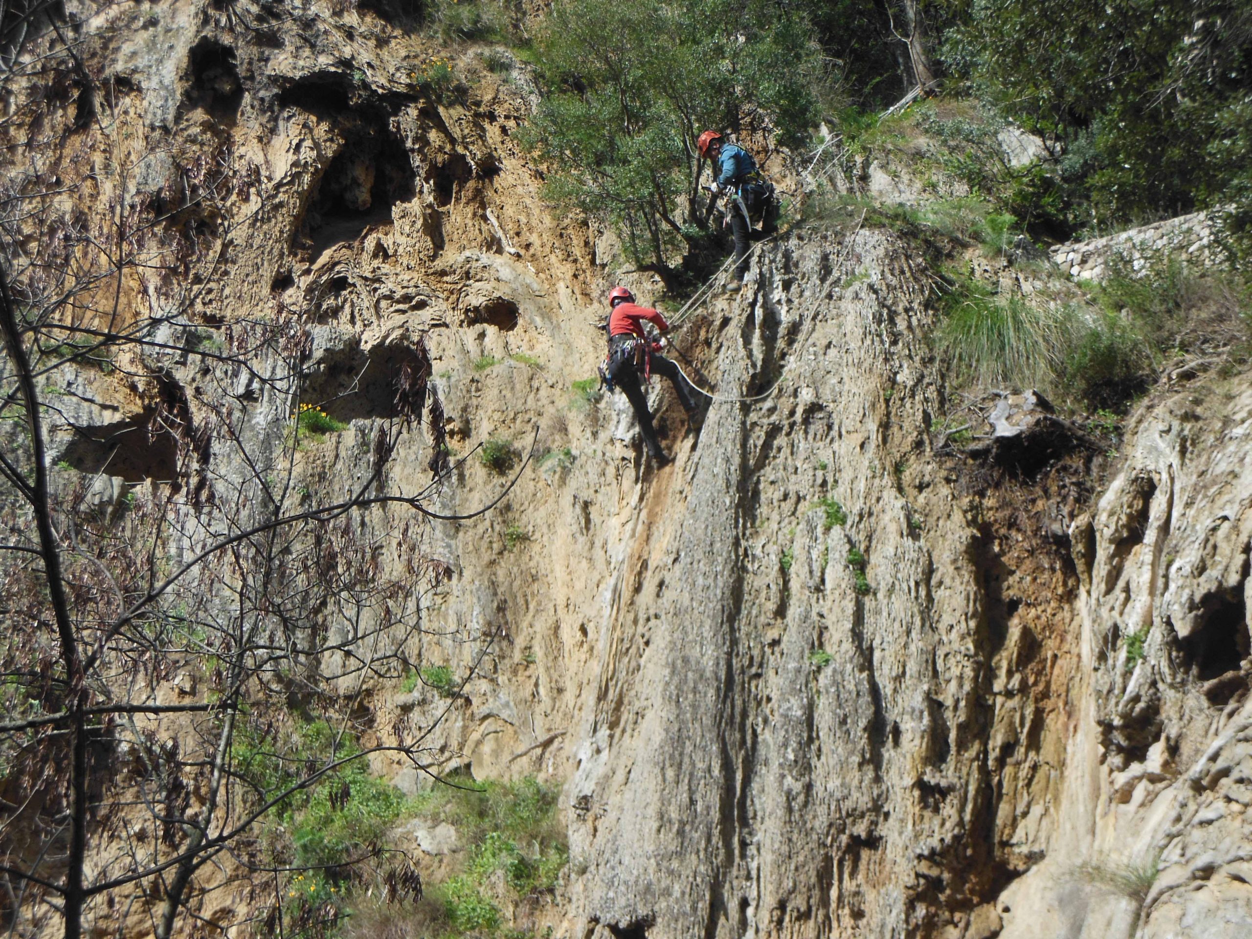 Rocciatori specializzati all’opera a Parco Villa Gregoriana