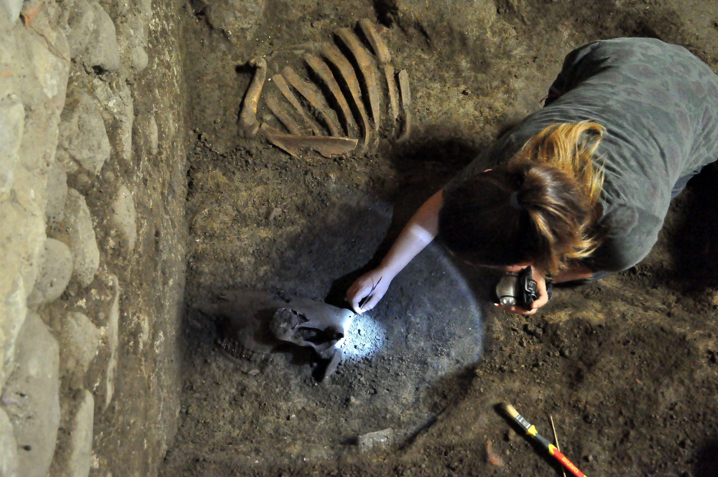 Marzo 2021: tanti appuntamenti online nei Beni del FAI