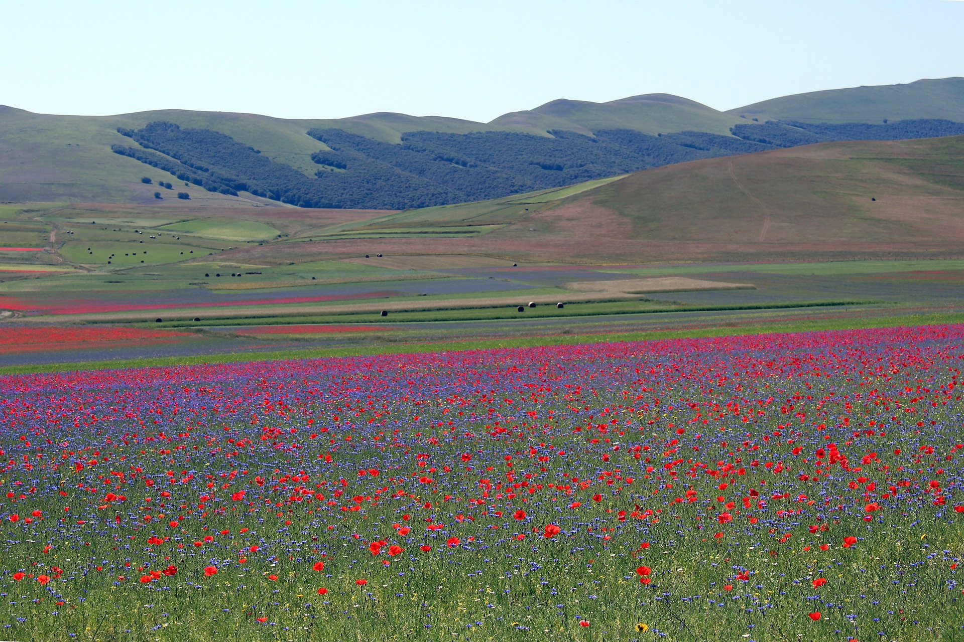 Usi civici: perché difenderli. Il caso di Castelluccio di Norcia