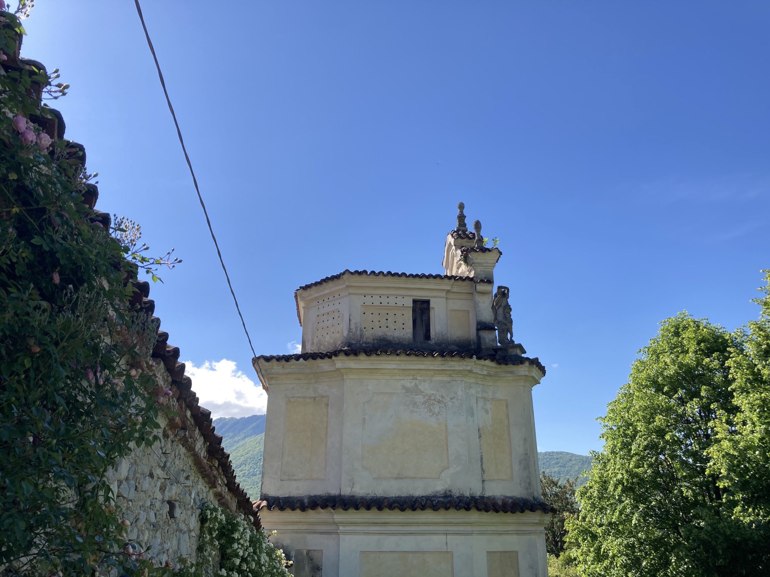 Giornata Mondiale dei Rondoni: una specie che nidifica nei Beni FAI