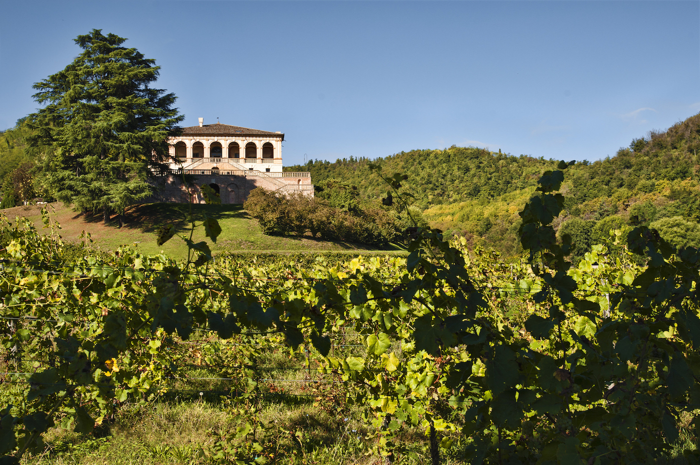 Nice Footwear è Corporate Golden Donor del FAI