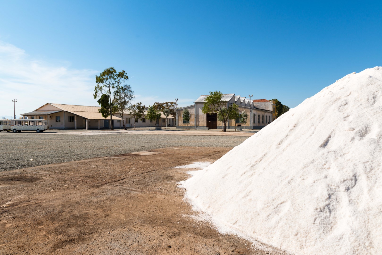 Saline Conti Vecchi: open day sull'offerta didattica