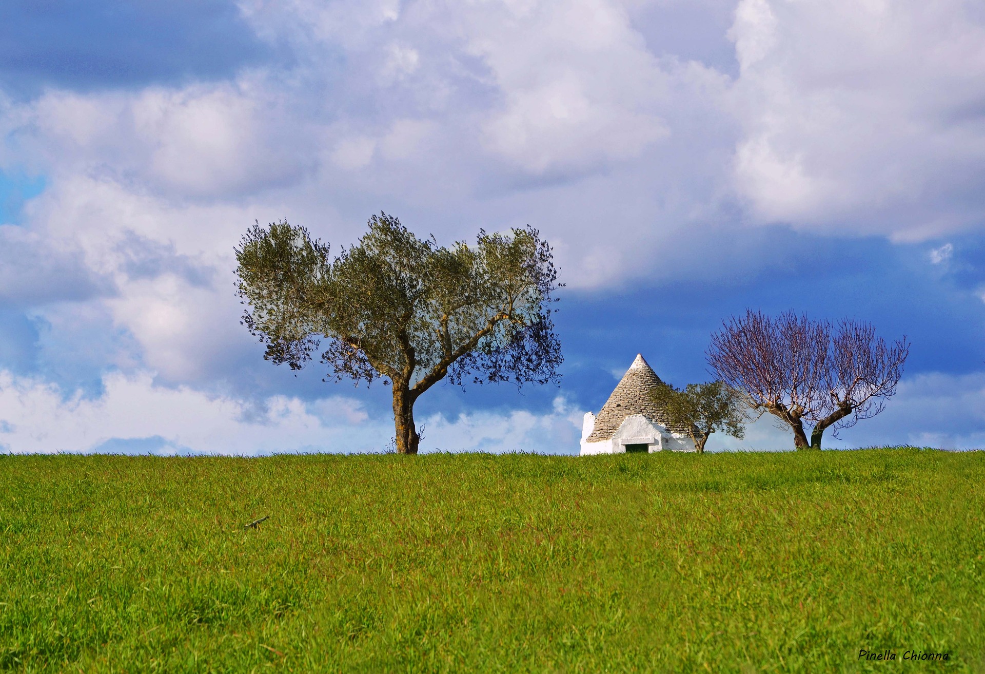 Suoli agricoli: la Puglia permette nuovo consumo di suolo