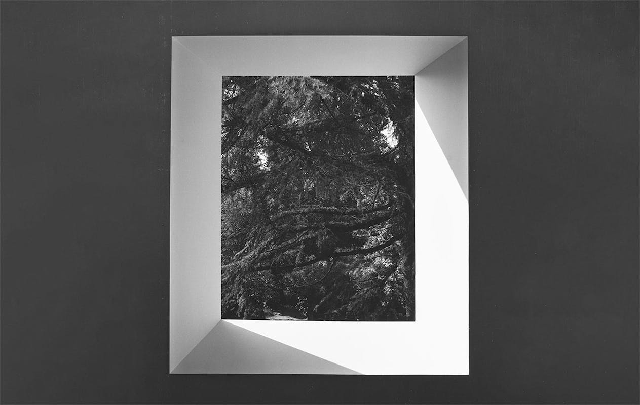 Giorgio Colombo. Fotografie dalla Collezione Panza 1975 – 1992 Giorgio Colombo. Fotografie dalla Collezione Panza 1975 – 1992