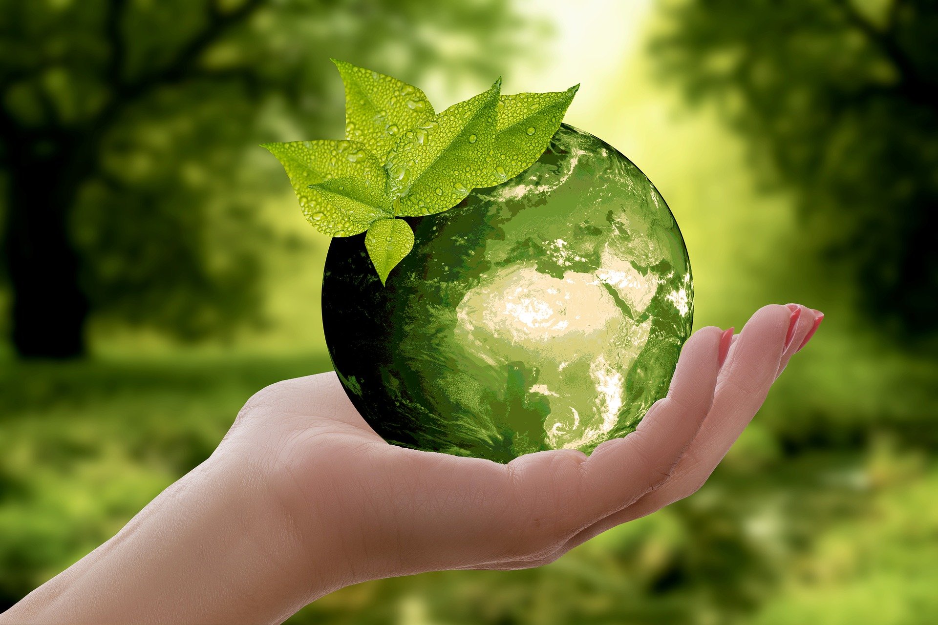 Ambiente: l’impegno concreto del FAI per salvare la Terra