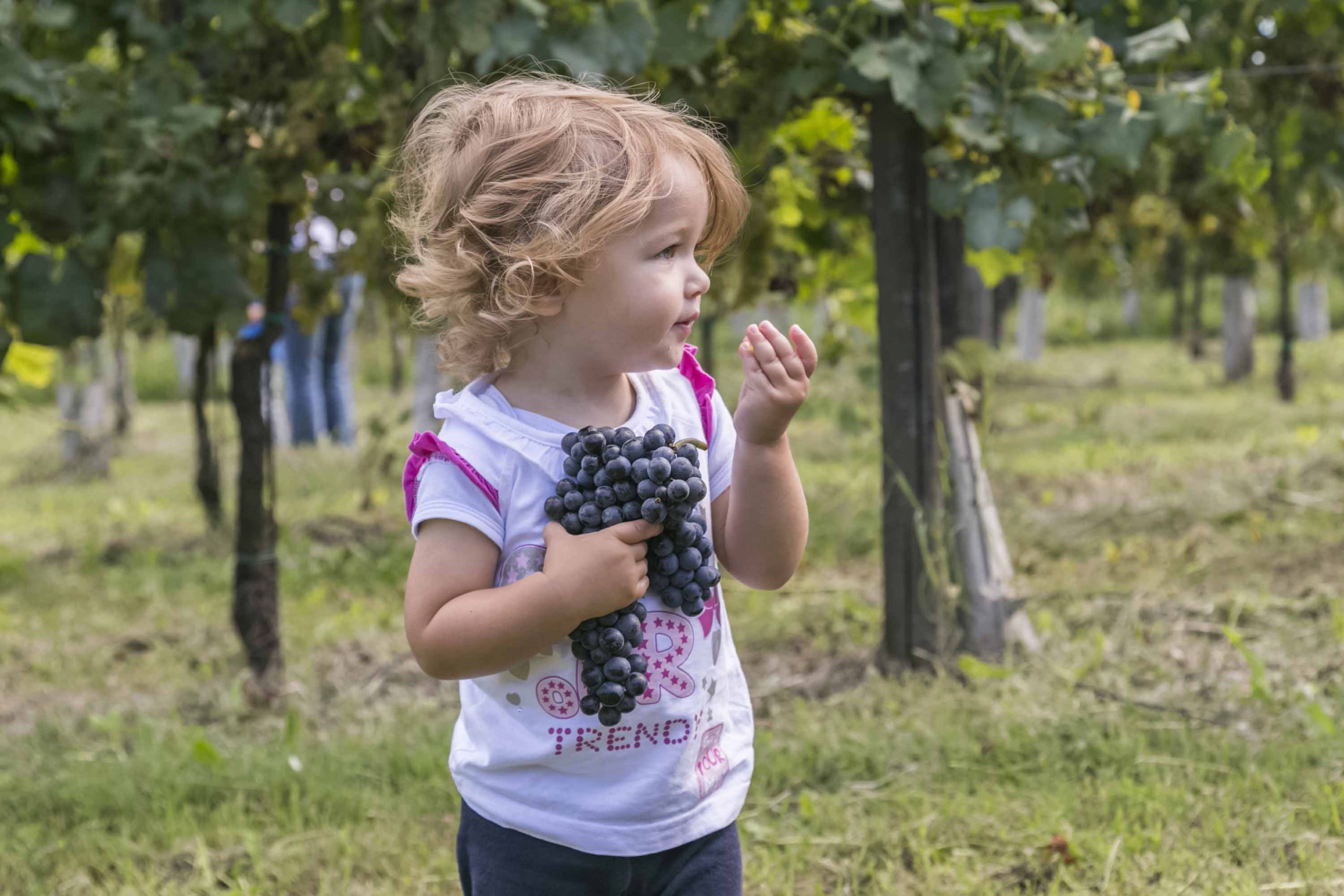 Settembre 2022 con il FAI: gli appuntamenti da non perdere