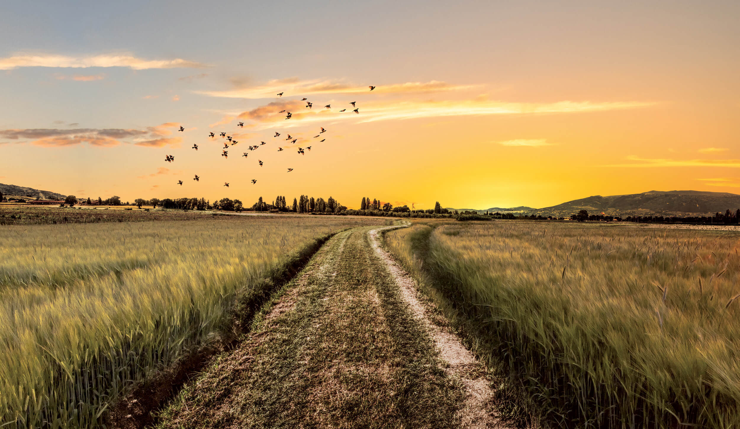 La valorizzazione del sentiero della “Predica degli Uccelli” di San Francesco