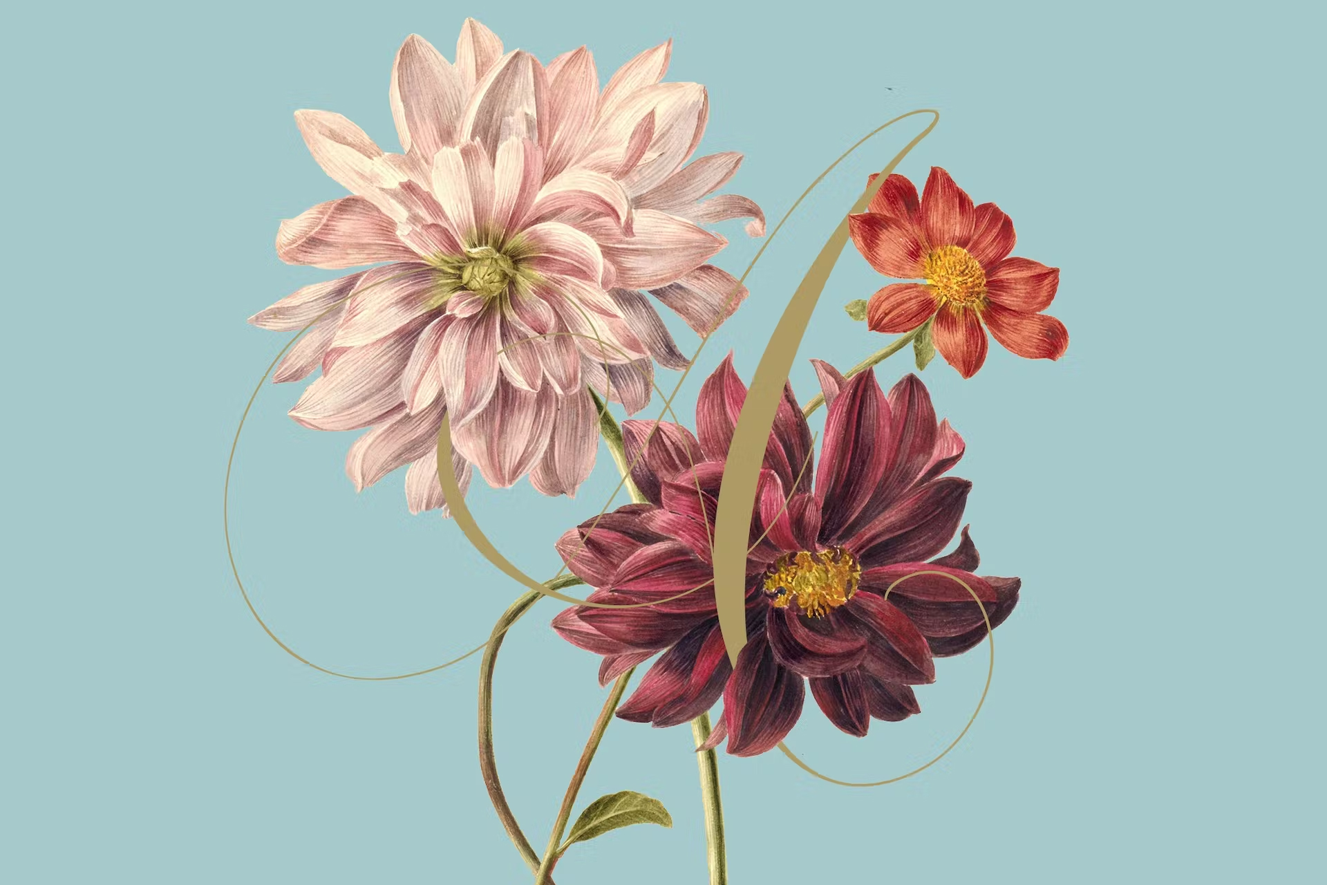 La seconda edizione di Colori d’Autunno a Villa Necchi Campiglio