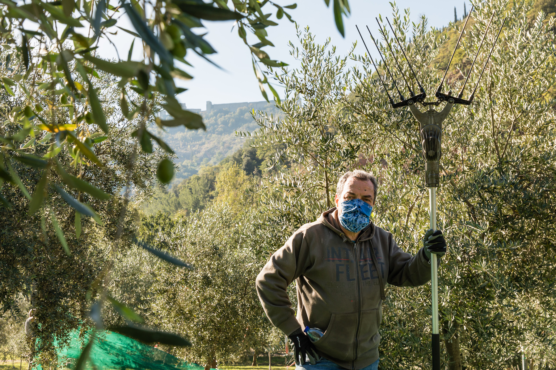 Storie di volontari, di uliveti, olive e olio del FAI