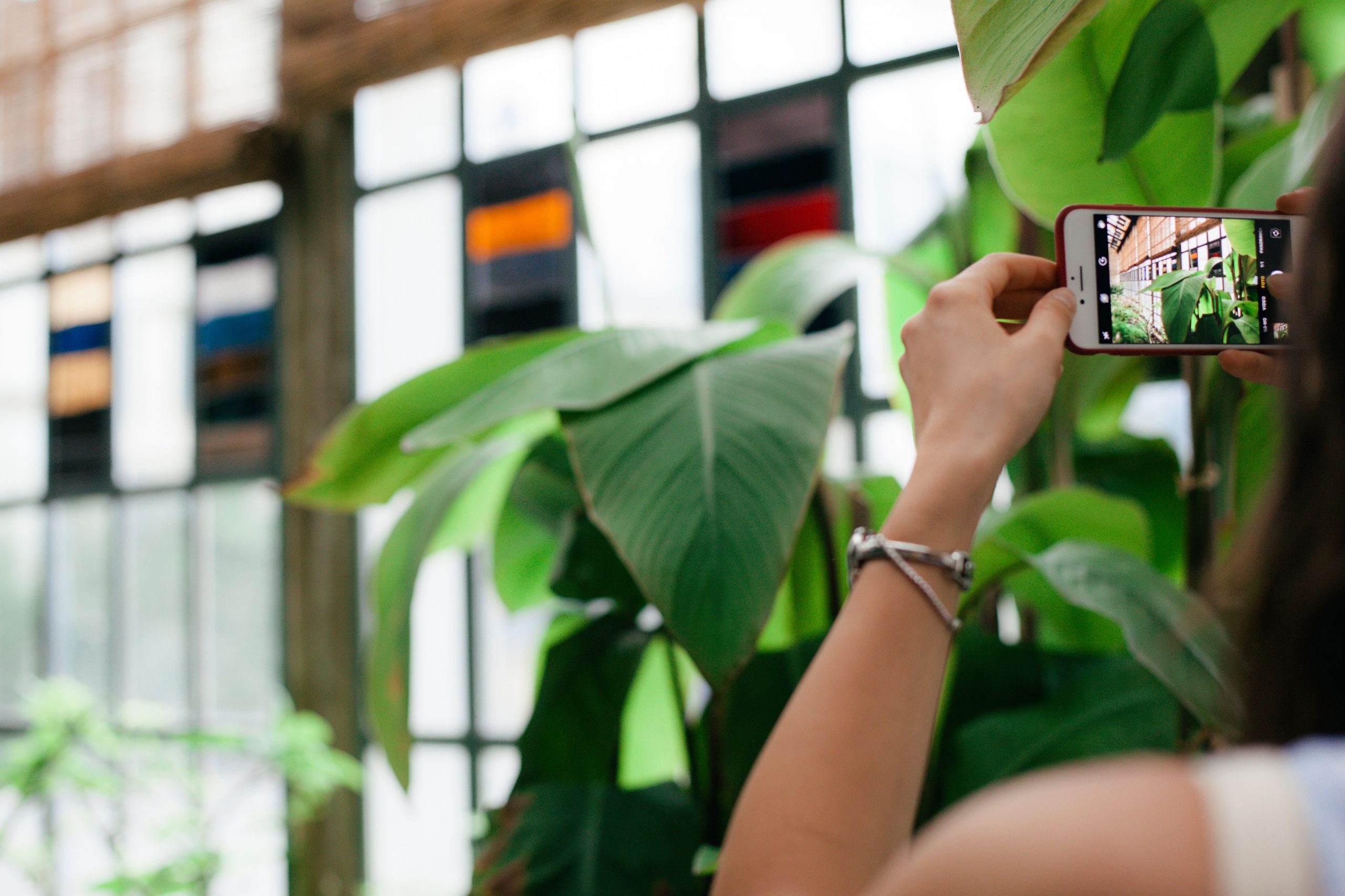 Alcuni consigli per scattare, creare e conservare foto e video