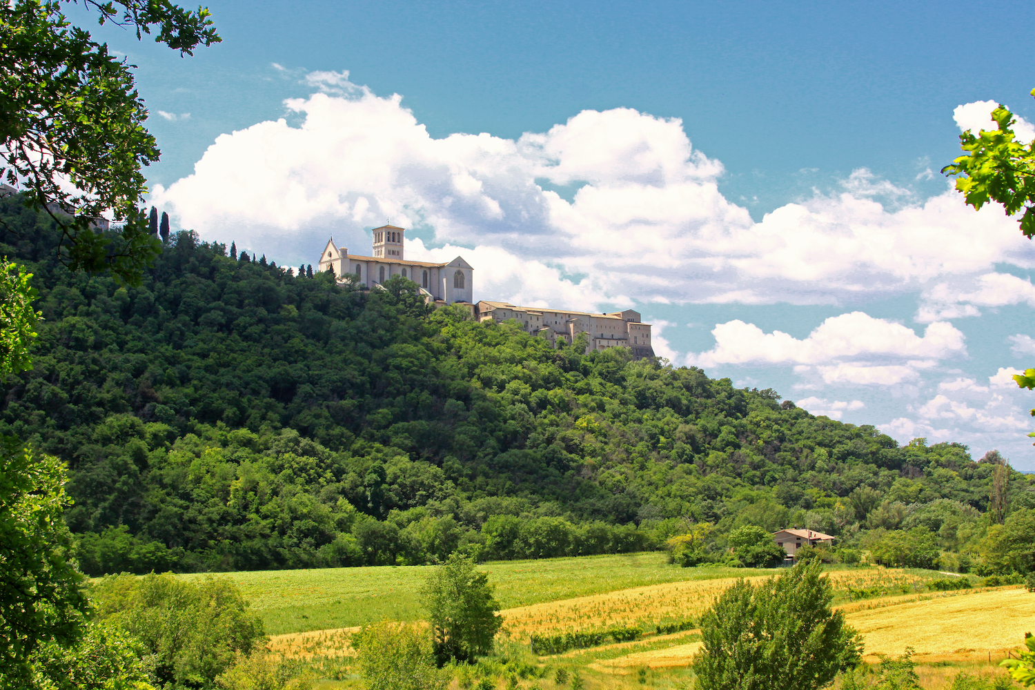 Il progetto di gestione forestale del Bosco di San Francesco ad Assisi