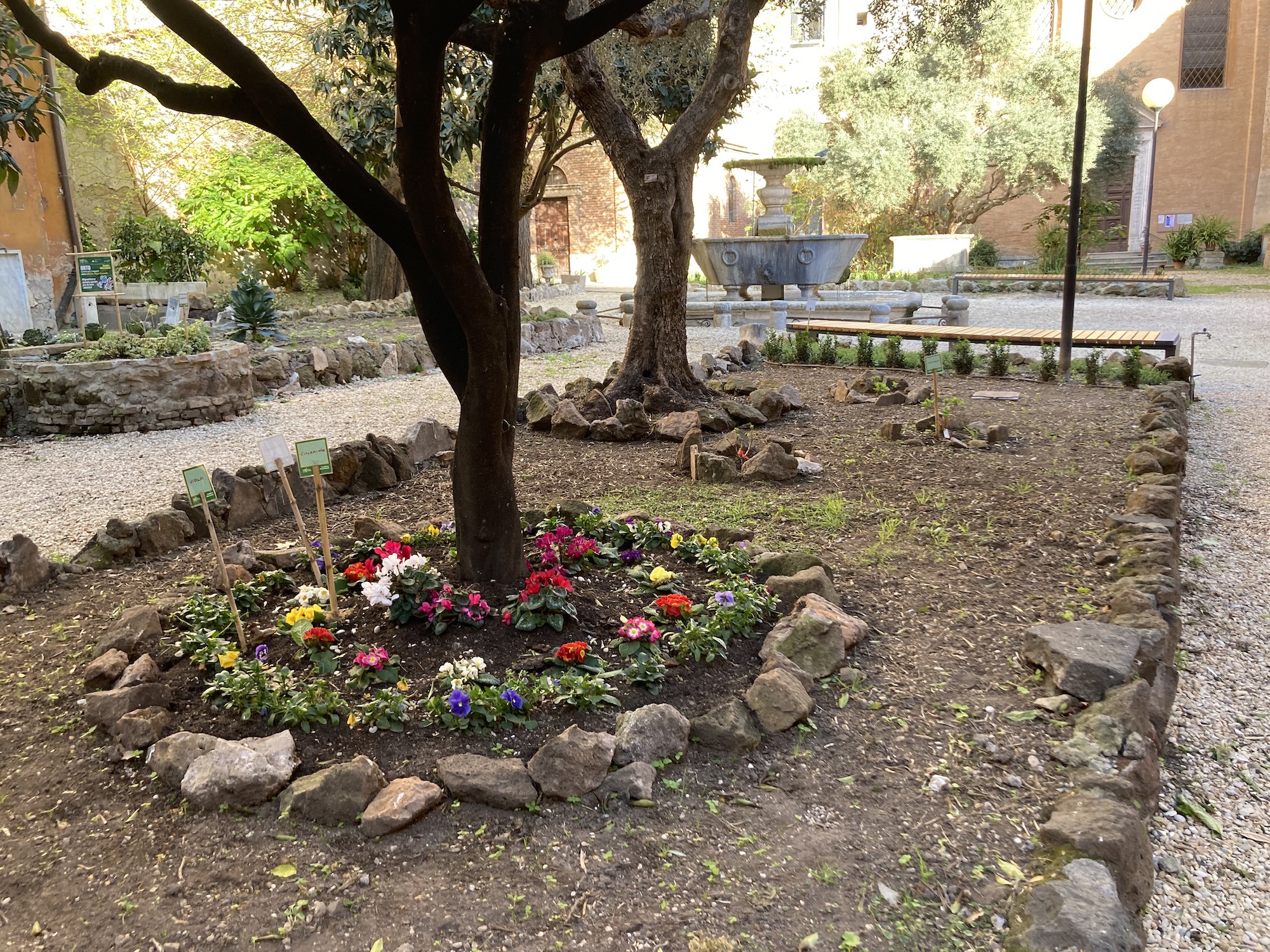 Un’oasi di pace e cultura: il Cortile in Mica Aurea nel Rione Trastevere