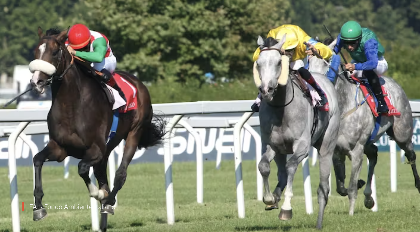 Schermata della piattaforma SNAI Ippica