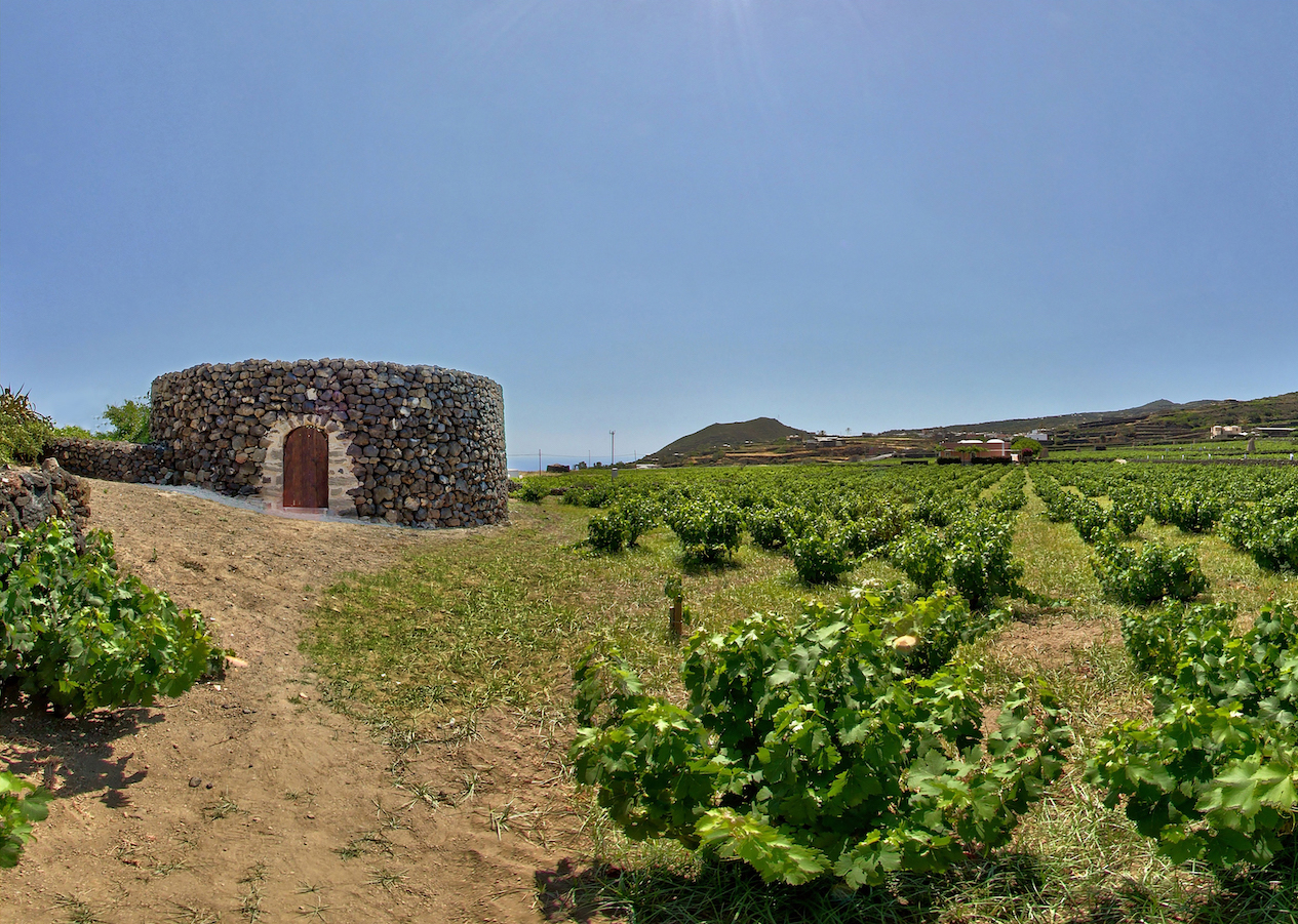 “Pilastri”: il podcast di Will Media con la voce del FAI